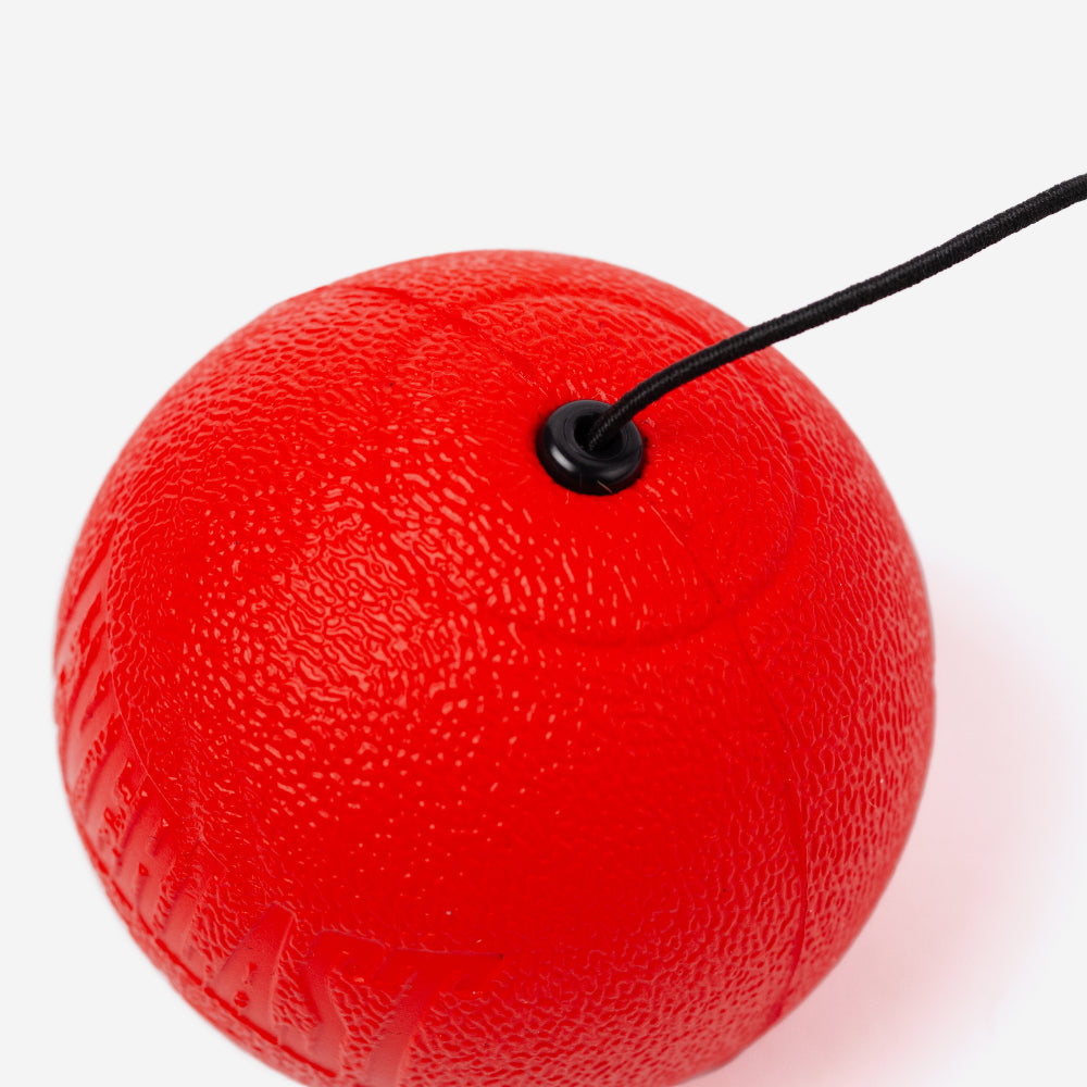 Powerlock Reflex Ball - Image 5
