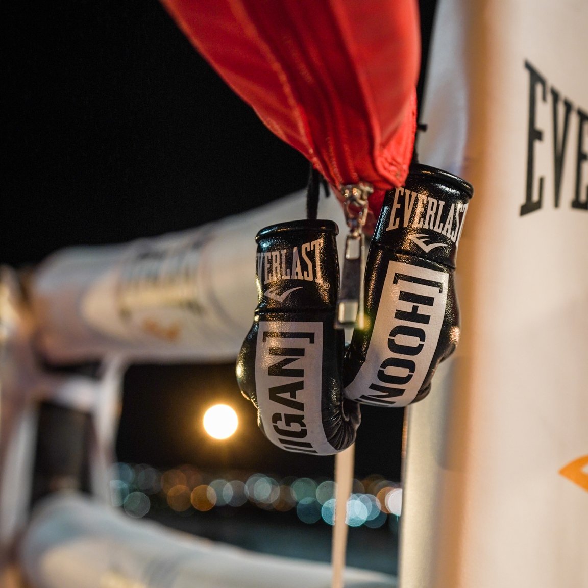 Everlast X Hoonigan Rear View Mirror Gloves - Image 3